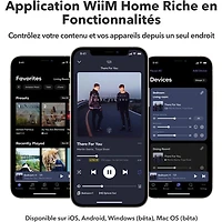 Wiim Pro Plus Audio Streamer