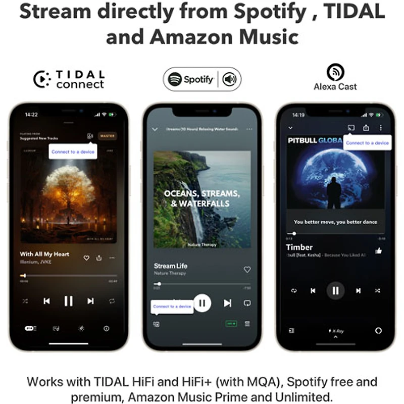 Wiim Pro Plus Audio Streamer