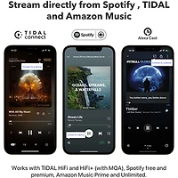 Wiim Pro Plus Audio Streamer