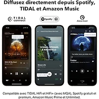 Wiim Pro Plus Audio Streamer