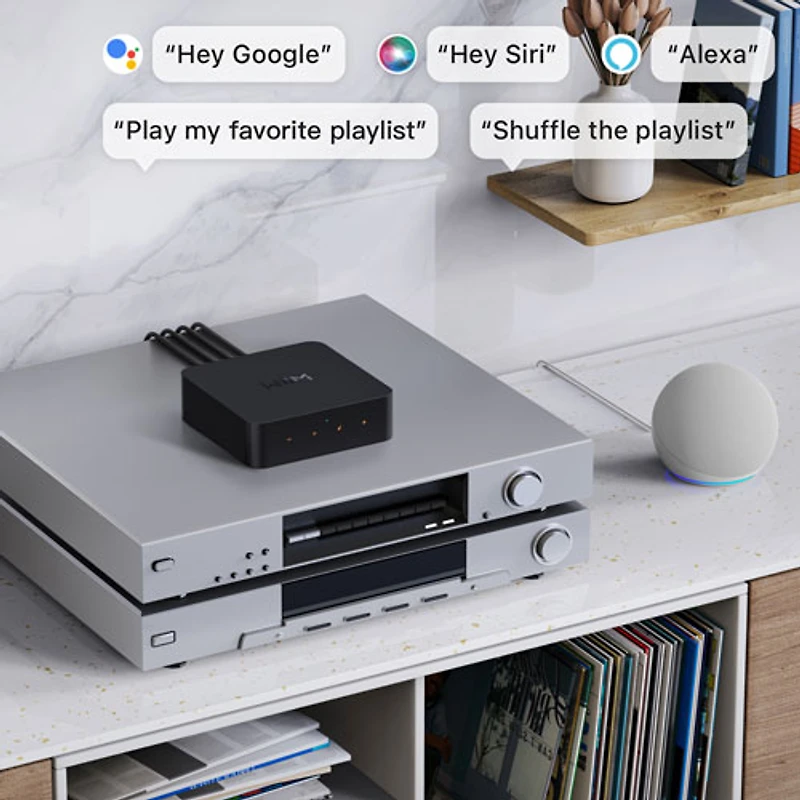Wiim Pro Plus Audio Streamer