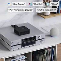 Wiim Pro Plus Audio Streamer