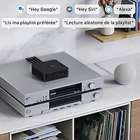Wiim Pro Plus Audio Streamer
