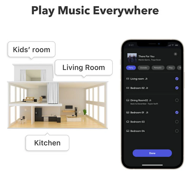 Wiim Pro Plus Audio Streamer