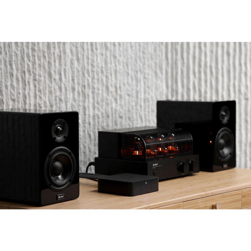 Diffuseur audio Pro Plus de WiiM