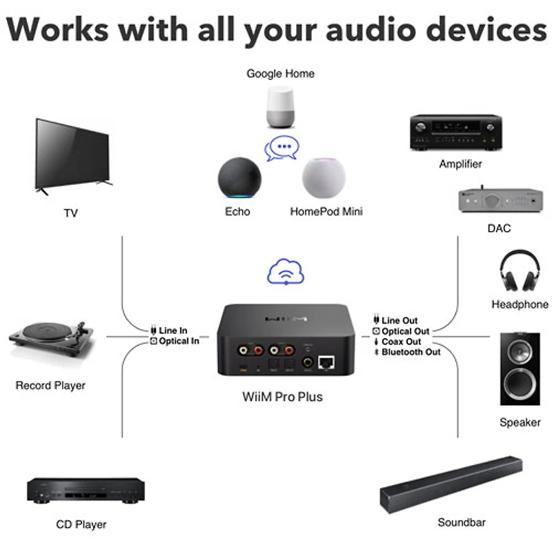 Wiim Pro Plus Audio Streamer