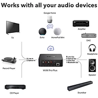 Wiim Pro Plus Audio Streamer
