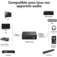 Wiim Pro Plus Audio Streamer