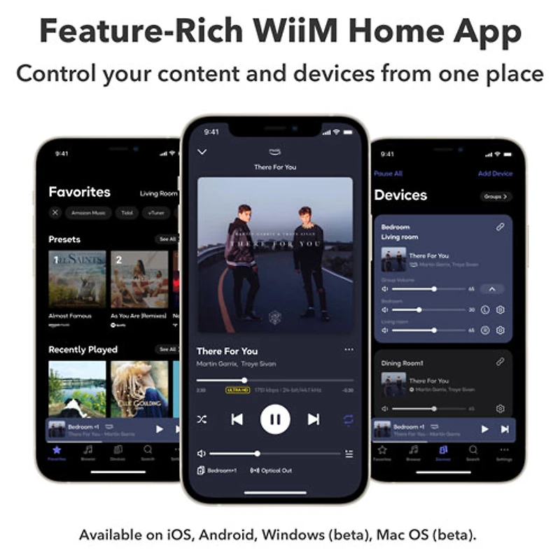 Wiim Pro Plus Audio Streamer