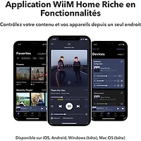 WiiM Ultra Digital Music Hub