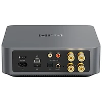 Amplificateur de diffusion en continu AMP de WiiM
