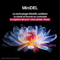 Téléviseur intelligent mini-DEL HDR UHD 4K QNED evo AI QNED92 de 85 po série QNED92 de LG (85QNED92AUA) - 2025