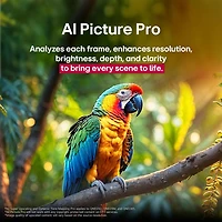 Téléviseur intelligent mini-DEL HDR UHD 4K QNED evo AI QNED92 de 75 po série QNED92 de LG (75QNED92AUA) - 2025