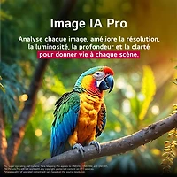 Téléviseur intelligent mini-DEL HDR UHD 4K QNED evo AI QNED92 de 75 po série QNED92 de LG (75QNED92AUA) - 2025