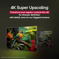 Téléviseur intelligent ACL HDR UHD 4K de 43 po AI UA77 série UA7700 de LG (43UA7700PUB) - 2025