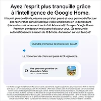 Sonnette vidéo Wi-Fi (avec fil) Google Nest (3e génération) - Neige