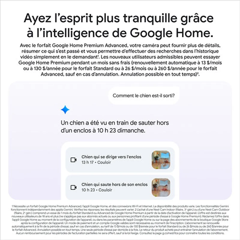 Caméra de surveillance intérieure avec fil Nest Cam de Google (3e génération) - Neige