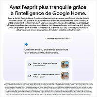 Caméra de surveillance intérieure avec fil Nest Cam de Google (3e génération) - Neige