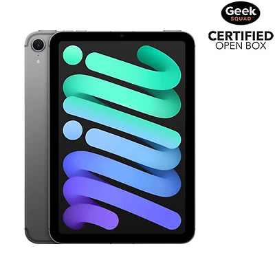 Boîte ouverte - iPad mini 8,3 po 256 Go d'Apple avec Wi-Fi et 5G (7e génération) - Gris cosmique