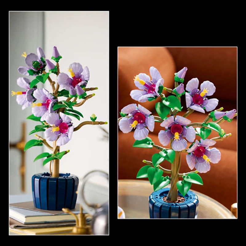 LEGO Botanicals : L'hibiscus - 660 pièces (10372)