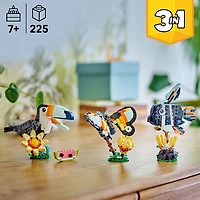 LEGO Creator: Wild Animals Tropical Toucan - 225 Pieces (31173)