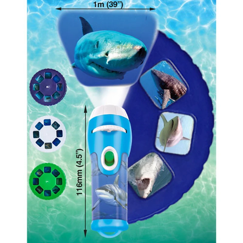 Lampe de poche et projecteur de requins de Brainstorm