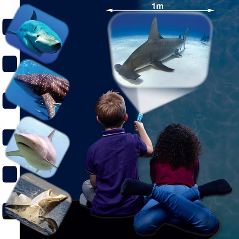Lampe de poche et projecteur de requins de Brainstorm