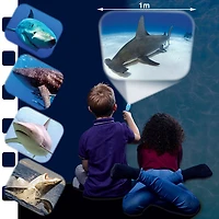 Brainstorm Shark Torch & Projector