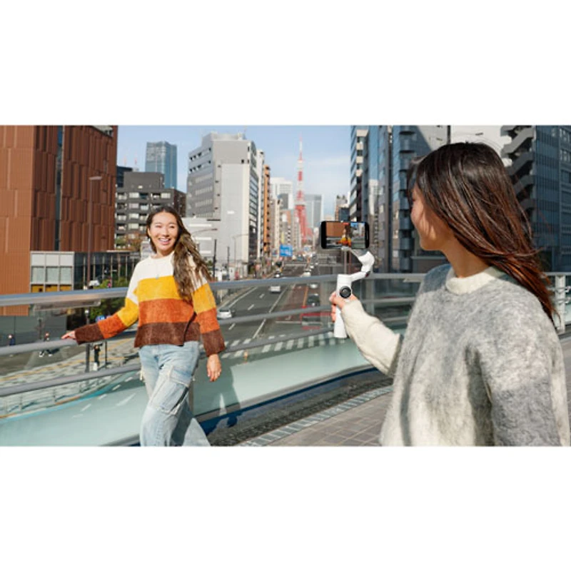 Stabilisateur à cardan pour téléphone intelligent Flow 2 Pro d'Insta360 - Gris