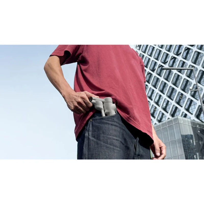 Stabilisateur à cardan pour téléphone intelligent Flow 2 Pro d'Insta360 - Gris