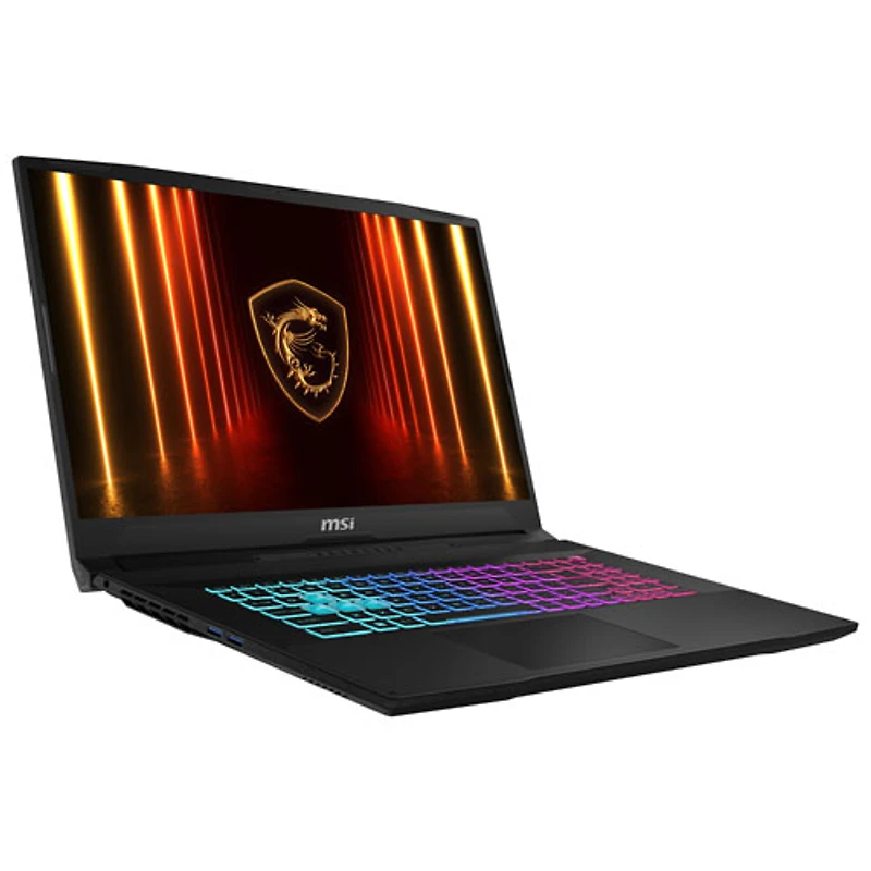 MSI Katana 17 17.3" Gaming Laptop - Black (Intel Core i9-14900HX /32GB RAM/1TB SSD/GeForce RTX 5070/Windows 11)