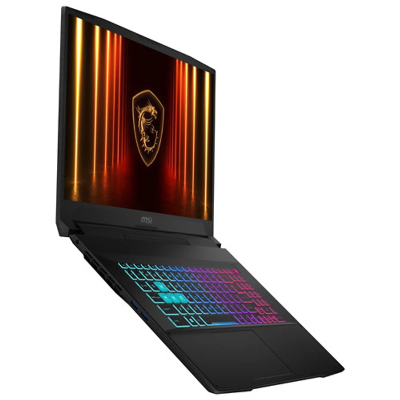 MSI Katana 17 17.3" Gaming Laptop - Black (Intel Core i9-14900HX /32GB RAM/1TB SSD/GeForce RTX 5070/Windows 11)