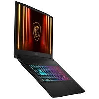 MSI Katana 17 17.3" Gaming Laptop - Black (Intel Core i9-14900HX /32GB RAM/1TB SSD/GeForce RTX 5070/Windows 11)