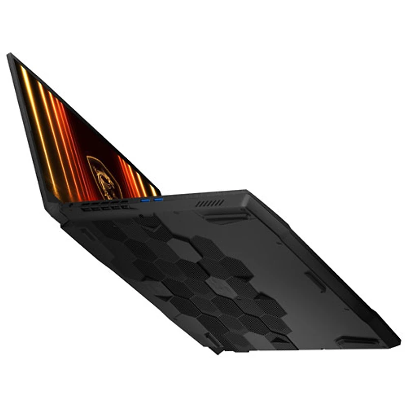 MSI Katana 17 17.3" Gaming Laptop - Black (Intel Core i9-14900HX /32GB RAM/1TB SSD/GeForce RTX 5070/Windows 11)