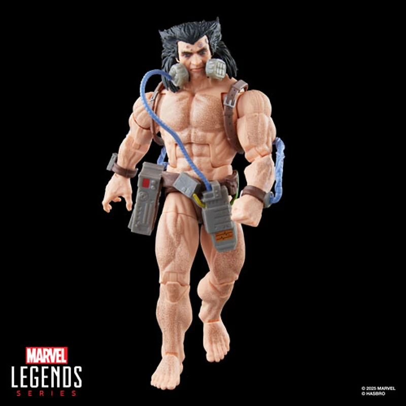 Hasbro Marvel Legends Series - Wolverine (Weapon X) Action Figure