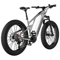 Vanpowers Grand Teton Ultra Step-Through Fat-Tire Electric City Bike (500W Motor/149km Range/32km/h Top Speed)-Silver