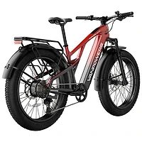 Vanpowers Grand Teton Pro Step-Through Fat-Tire Electric City Bike (750W Motor/149km Range/32km/h Top Speed)-Black
