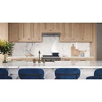 Broan-NuTone 30" Under Cabinet Range Hood (ALT3304SS) - Stainless Steel
