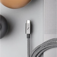Câble USB-C à Lightning de 3 m (10 pi) Belt XL de Native Union - Noir zèbre