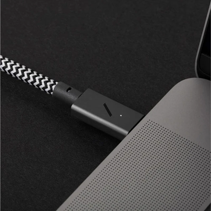 Native Union Belt XL 3m (10 ft.) USB-C to Lightning Cable - Zebra Black