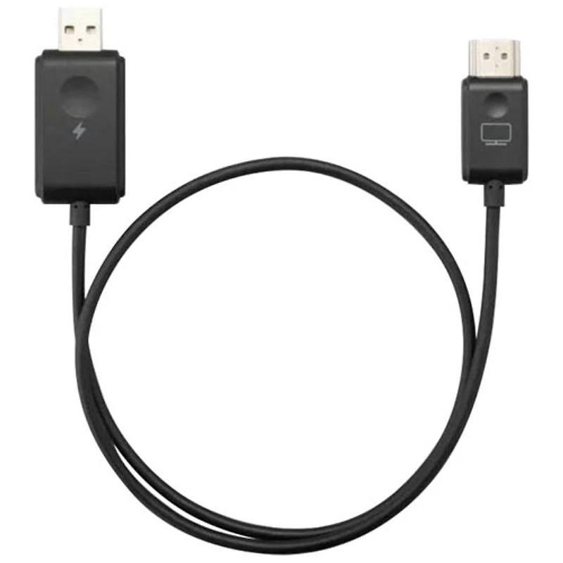 Ensemble de duplication d'écran sans fil de ViewSonic (WPD-900)