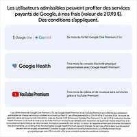 Pixel 10 Pro Fold de Go de Google - Pierre de lune