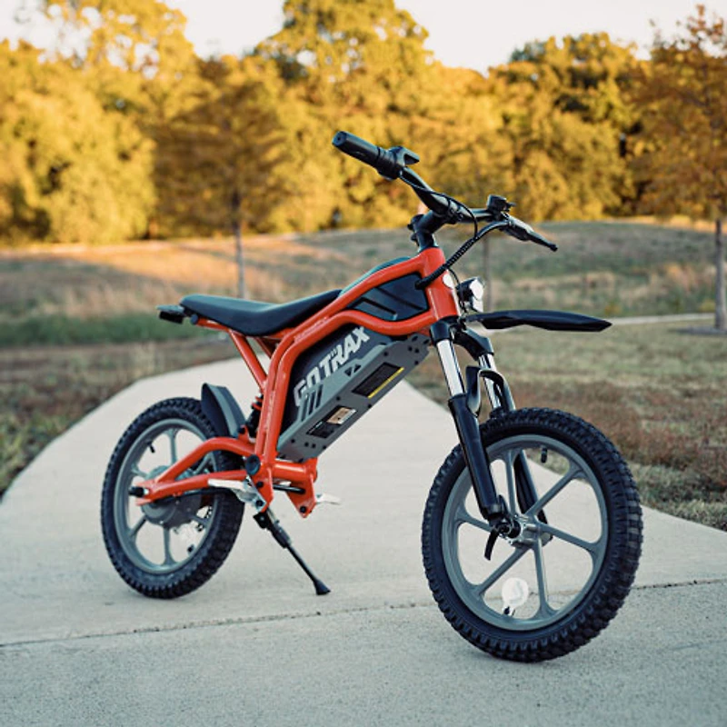 Vélo tout-terrain électrique Fitz de Gotrax (moteur de 350 W/autonomie de batterie de 25 km/vitesse maximale de 25 km/h