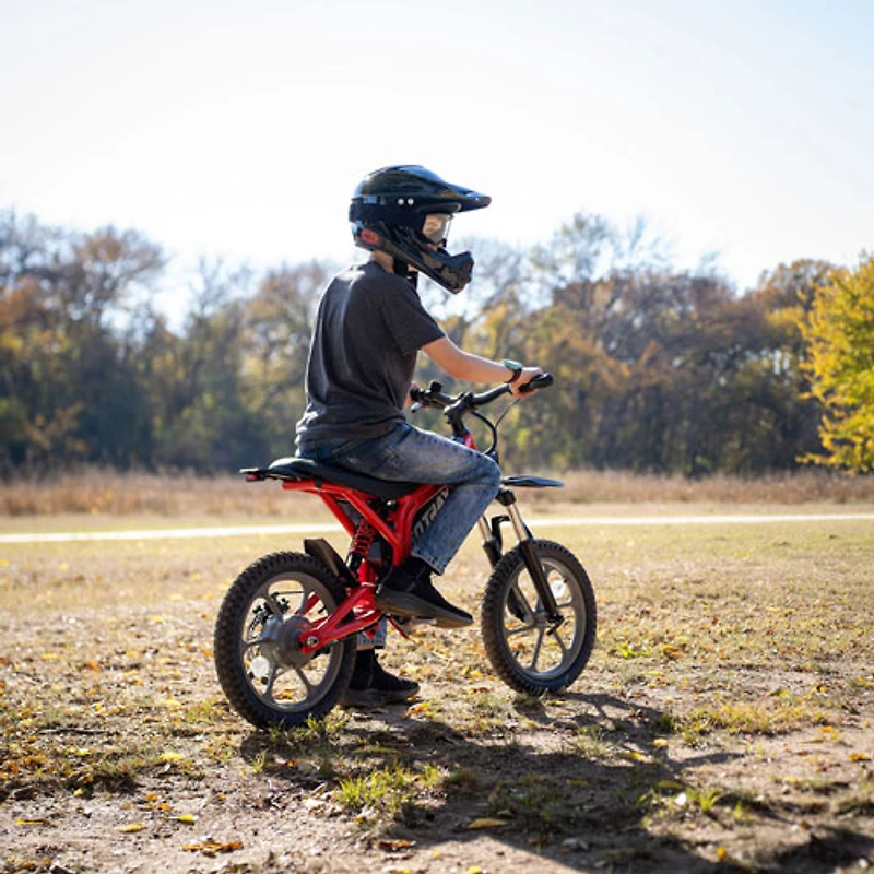 Vélo tout-terrain électrique Fitz de Gotrax (moteur de 350 W/autonomie de batterie de 25 km/vitesse maximale de 25 km/h