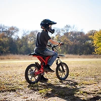 Vélo tout-terrain électrique Fitz de Gotrax (moteur de 350 W/autonomie de batterie de 25 km/vitesse maximale de 25 km/h