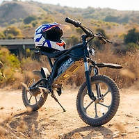 Gotrax Fitz Electric Dirt Bike (350W Motor/25km Battery Range/25km/h Top Speed) - Black