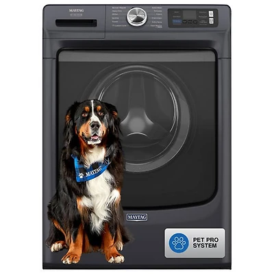 Boîte ouverte - Laveuse à vapeur à chargement frontal HE de 5,8 pi³ Pet Pro de Maytag - Minuit acier