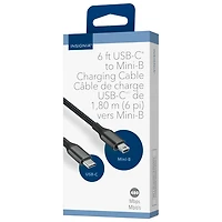 Insignia 2m (6 ft.) USB-C to USB Mini B Cable (NS-DCC2MB26-C) - Only at Best Buy