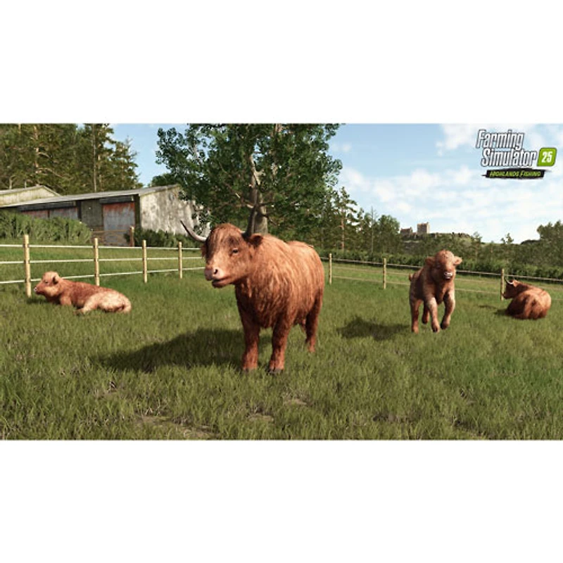 Farming Simulator 25 édition Highlands Fishing (PS5)