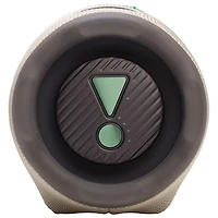 JBL Charge 6 Waterproof Bluetooth Wireless Speaker - Sandstone